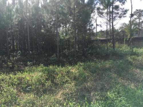 Imagem 2 de 3 de Terreno No Litoral Com 1500 M², Em Itanhaém/sp 5755-pc