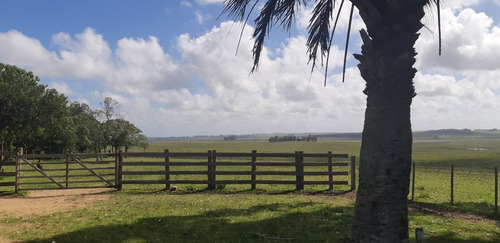 Imagen 2 de 9 de Campo En Venta En Rocha
