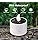 Velas Solares Impermeables Led Para Exteriores, Set De 6