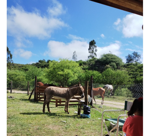 Vendo Casa, Sierras De Cordoba- La Falda.