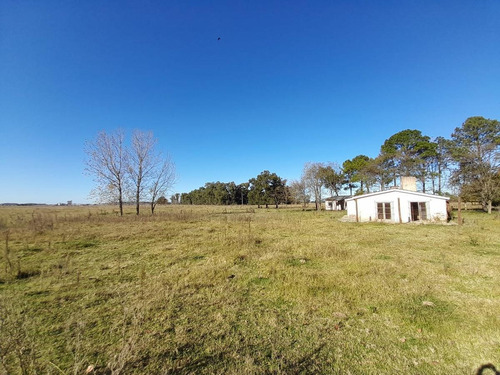 Imagen 3 de 24 de Venta Chacra 6 Ambientes Cañuelas