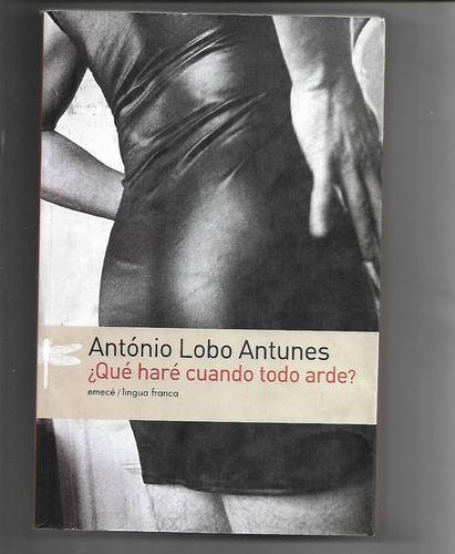 Qué Haré Cuando Todo Arda De Antonio Lobo Antunes - Travesti