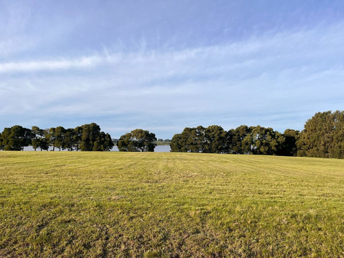 Venta Terreno, Laguna De Los Cisnes, Maldonado