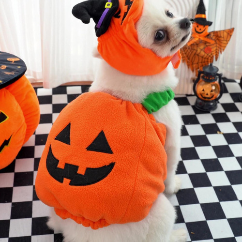 Disfraz De Calabaza Para Cachorro Disfraz De Calabaza Para P