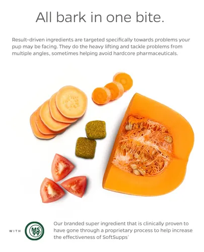 Suplementos Probioticos Para Perros Con Calabaza Y Antidiarr