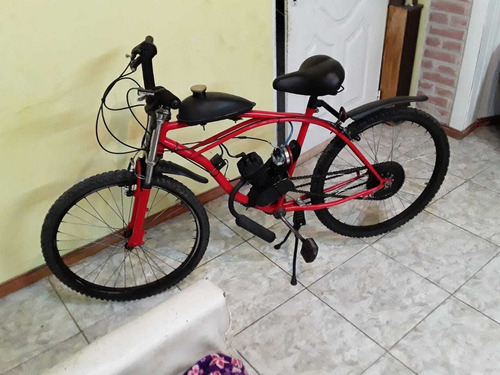 Bicimoto Standar