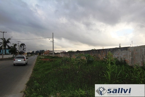 Imagem 7 de 9 de Terreno Para Alugar - 01278.006