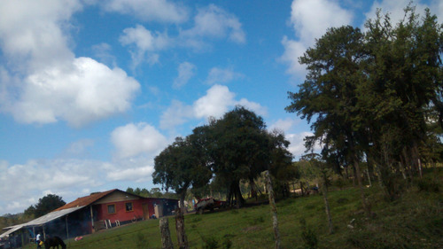 Imagem 19 de 30 de - Mch-0025
