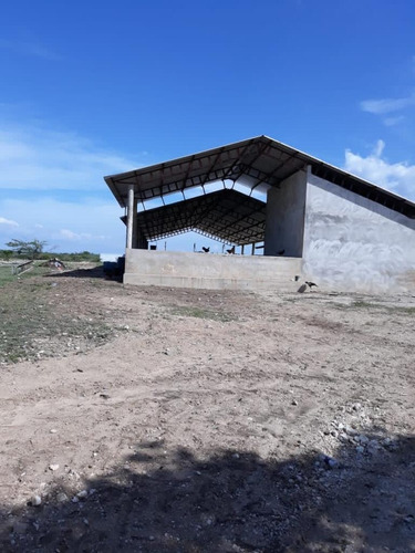 Vendo Finca En Guayubin Monte Cristi Para La Siembra De Vegetales 1,000 Tareas Con Sistema De Goteo, Sistema De Bombeo, Sistema De Riego Y Laguna Artificial De 5 Millones De Galones 