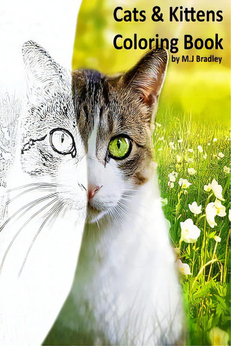 Cats & Kittens: Coloring Book, De Bradley, M. J.., Vol. 1. Editorial Createspace, Tapa Blanda En Inglés