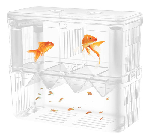 Tanques De Cría De Peces Caja De Cría De Peces Caja De Aisla