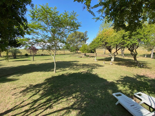Alquiler Casa De Campo En Minas, Lavalleja Chacra 4 Cuartos