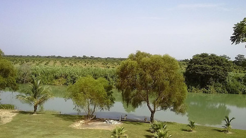 Imagen 1 de 2 de Terreno Frente Al Estero De Chijolar