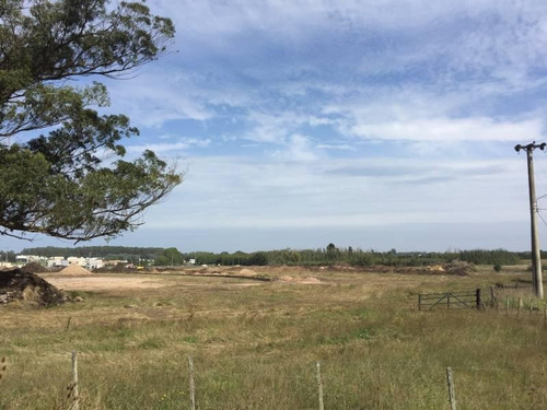 Imagen 8 de 9 de En Venta Lote N 48, Arenas Chico, Mar Del Plata.