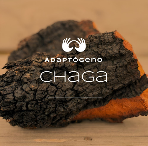 Mycohampeq Hongo Chaga Inonotus Obliquus Líquido Gotero 60cc