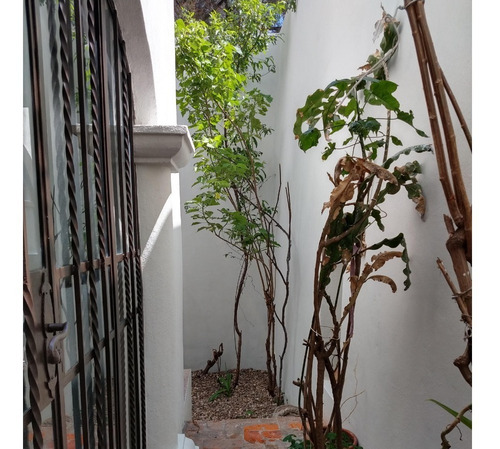 Imagen 2 de 30 de Casa En San Miguel De Allende Centro