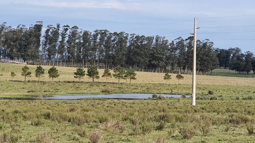 Inversión Asegurada En Las Garzas Rocha- Ref: 89