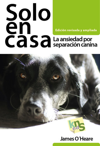 Libro Solo En Casa. Ediciã³n Revisada Y Ampliada