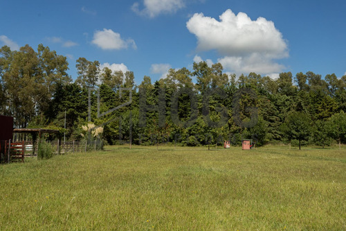 Lote 1000 M2 El Tropezón