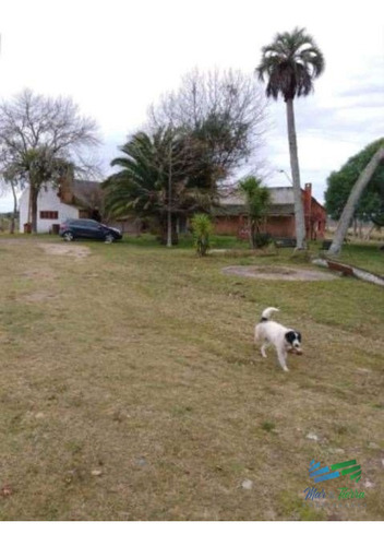 Buen Campo Ganadero Con Muy Buen Acceso Sobre Ruta