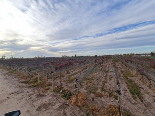 Imagen 18 de 27 de Finca Disponible En Fracciones Ideal Para Galpones O Loteo