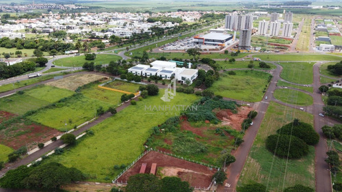 Imagem 11 de 13 de Terreno À Venda Em Residencial Dona Margarida - Te006011