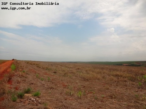 Imagem 2 de 4 de Terreno Industrial Cardeal - Te02157 - 2818011
