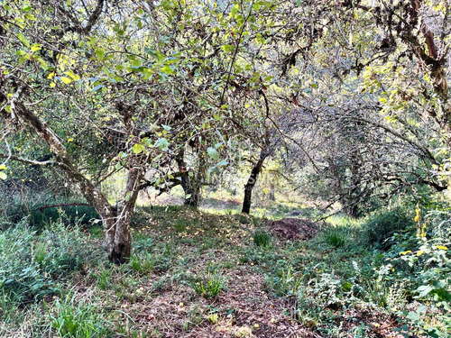Hermoso Terreno En Arique Ruta Valdivia Los Lagos