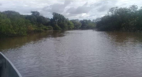 Imagen 8 de 30 de Vendo Hacienda De 990 Hectáreas En Puerto Gaitán En El Meta