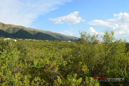 Imagen 10 de 14 de Lote De 5024m2 En Zona Alta De Carpintería