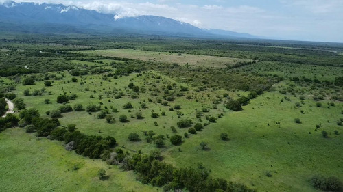 Se Vende Campo De 53 Hectareas En Guanaco Boleado,,traslasierra!!!