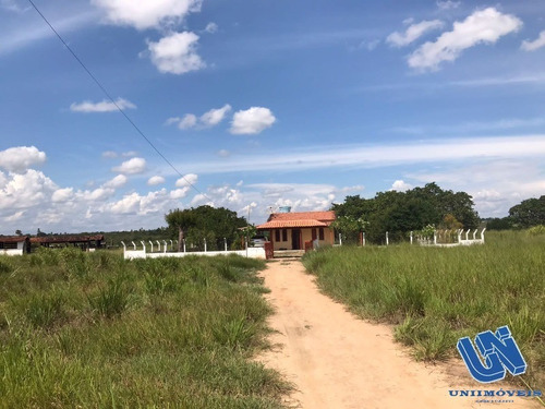 Imagem 2 de 17 de Fazenda Em Coração De Maria Com 50 Tarefas - Afd065 - 70725770
