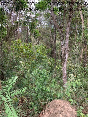 Imagem 4 de 8 de Terreno - Te00128 - 34560474