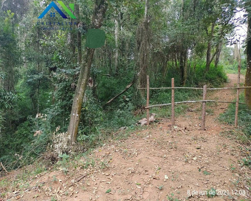 Imagem 5 de 7 de Comprar Chácara Só Terra 5.230,00 M² Vale Das Castanheiras (moinho) Campo Limpo Paulista Sp - Ch00096 - 69666069