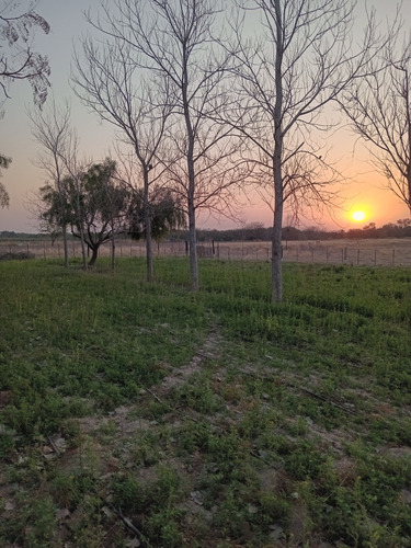 Vendo Propiedad De 5 Hectareas , Con Proyecto De Loteo , Incluye 2 Casas. Zona Inmejorable