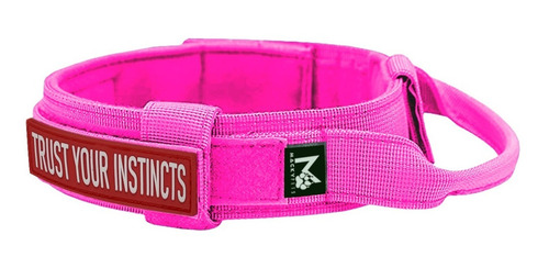 Imagen 3 de 10 de Pechera Táctica Perro + Collar + Paseador + Parche /talla Xl