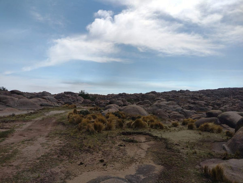 Imagen 5 de 30 de Campo De 380 Ha En Venta Ambul Altas Cumbres Córdoba