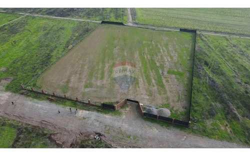 Parcela Rol Propio, 5000 M2 Calera De Tango
