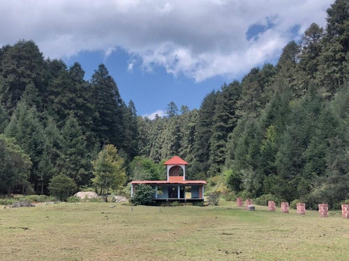 Imagen 2 de 12 de Terreno En Venta Mineral Del Monte Centro