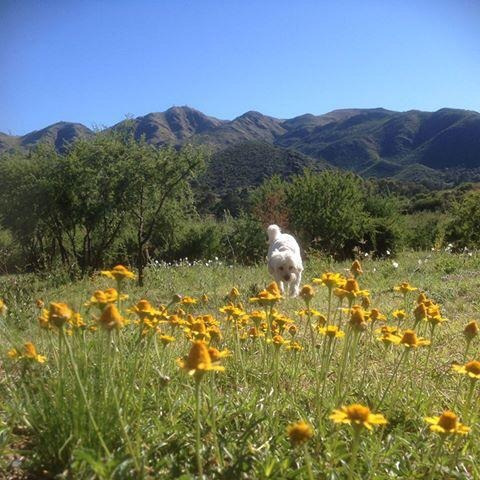 Imagen 13 de 20 de Lote En Venta - Cruz Chica La Cumbre Córdoba