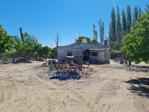 Imagen 10 de 14 de 27 Has. En El Mirador, Rivadavia