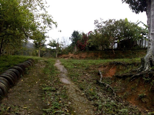 Imagem 18 de 30 de Sítio À Venda Em Juquitiba! - 172 - 34443922