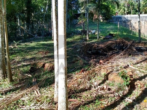 Imagem 25 de 25 de Chácara Rica Em Água Com Nascente Própria E Lindo Lago Piscoso Localizada Em Juquitiba/sp. - 325 - 69538550