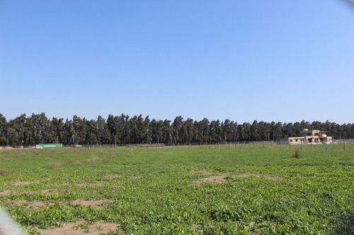 Condominio Mahuida - Chicureo