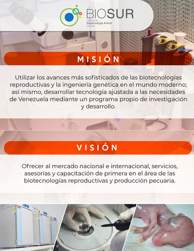 Catalogo De Productos Personalizados En Pdf Digital Hd