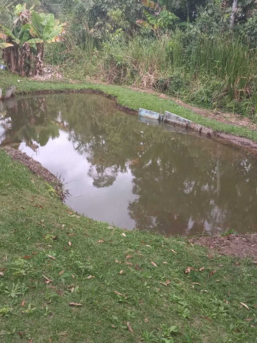 Alugo Linda Chácara Em Biritiba Mirim-sp, 5000m².