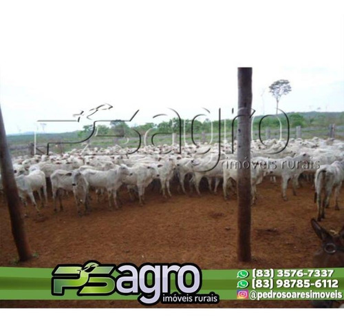 Imagem 7 de 16 de Fazenda À Venda, 65000 Hectares Por R$ 190.000.000 - Zona Rural - São Félix Do Xingu/pa - Fa0156