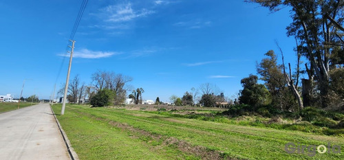 Terreno / Lote En Venta En El Polo Industrial De General Rodríguez