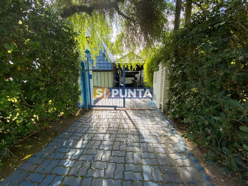 Imagen 3 de 30 de Casa En Pinares