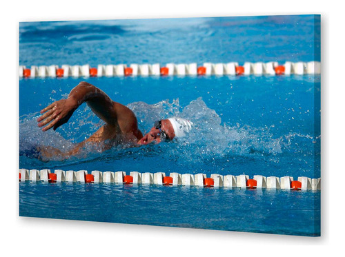 Cuadro 16x24cm Natacion Deporte Acuatico Pileta Piscina M3